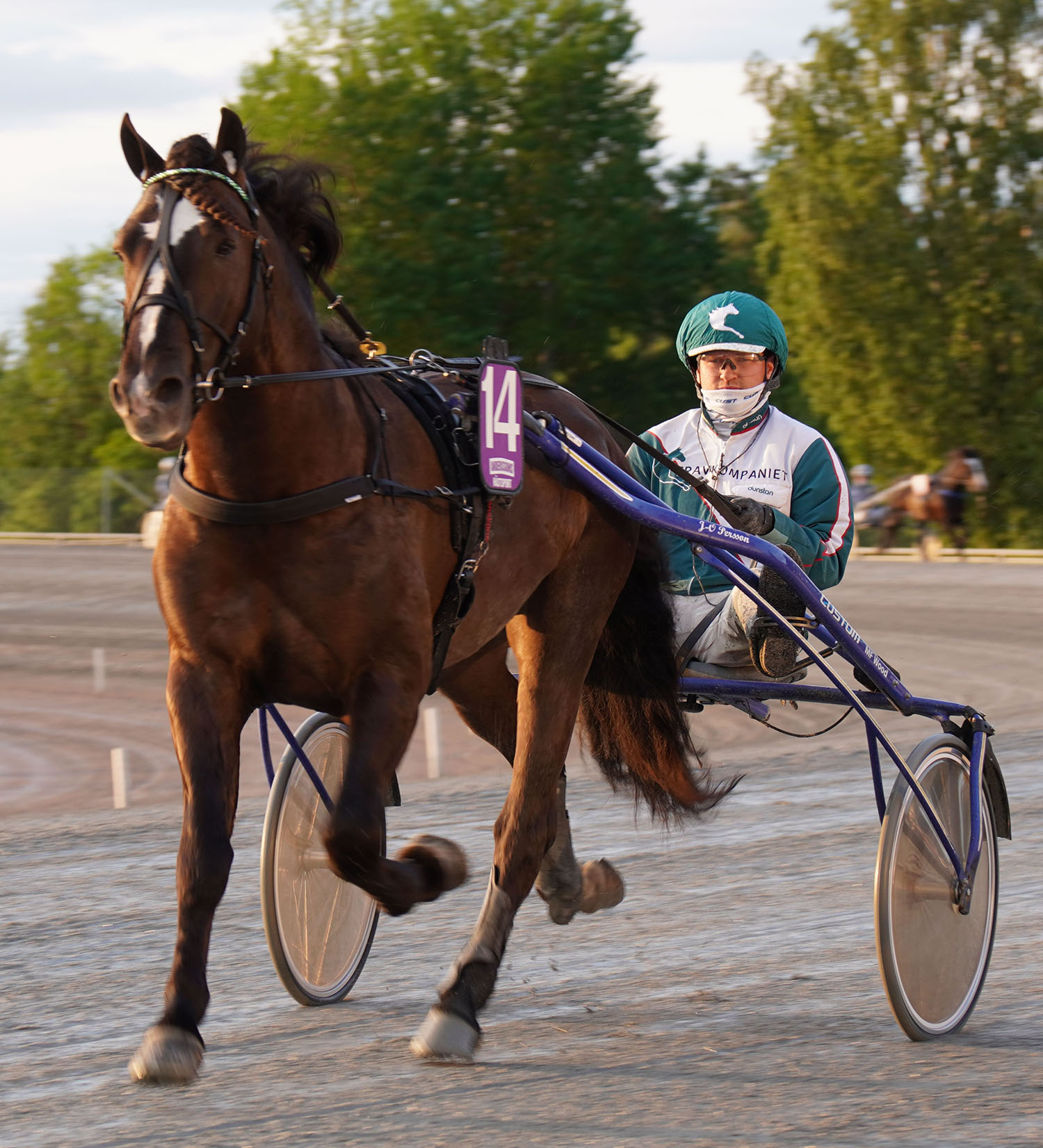 Granbarksborren 250611-4